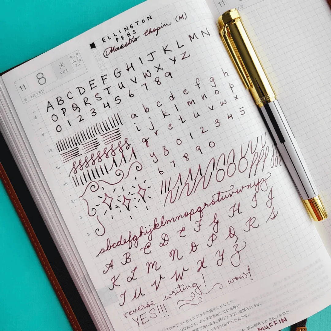 Master Chopin Fountain Pen - Image 12