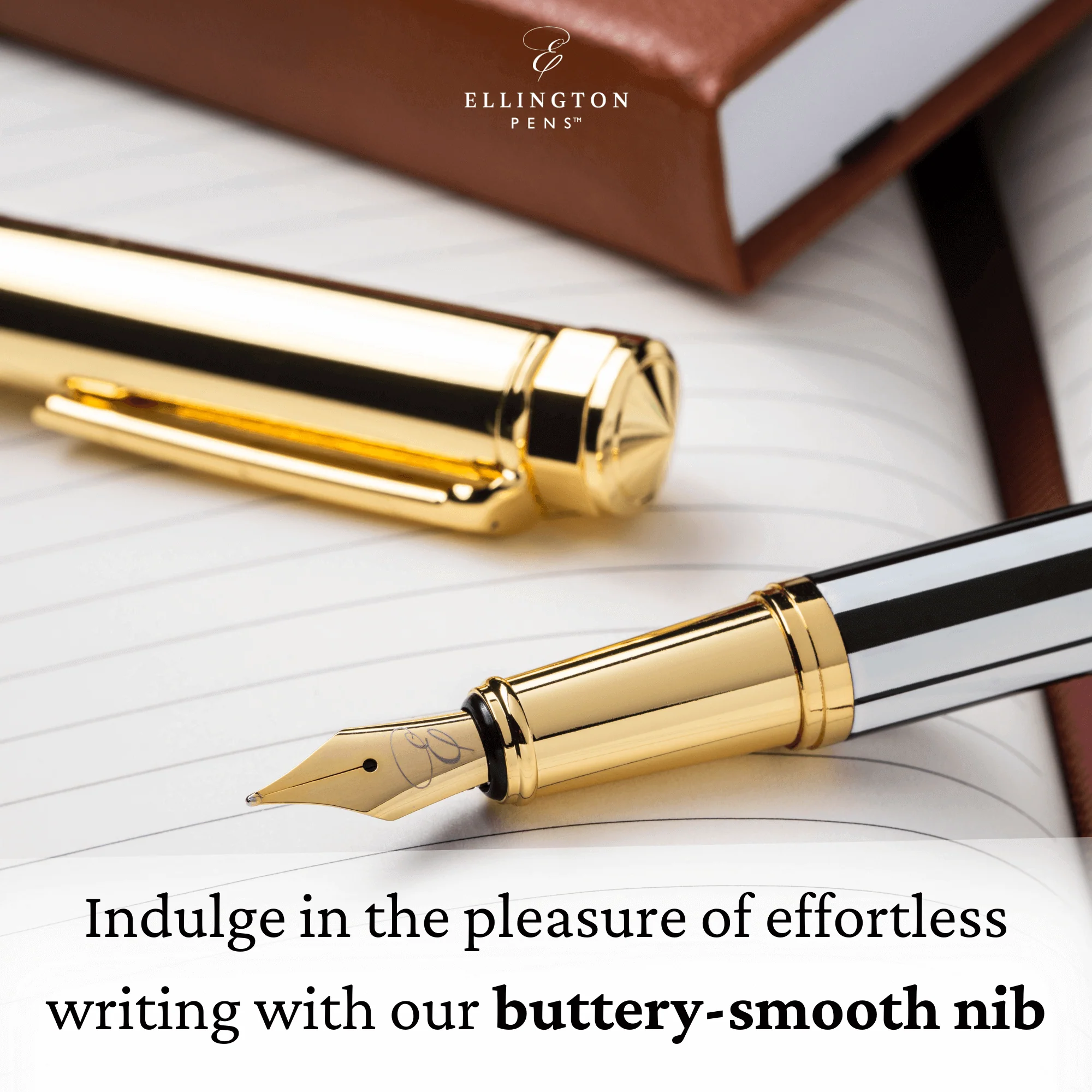 Master Chopin Fountain Pen - Image 7